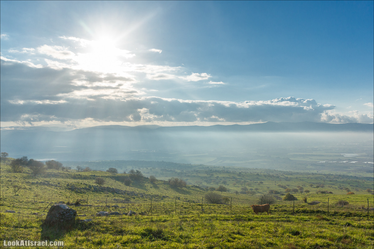 Голанские высоты - водопады и исторические места | LookAtIsrael.com - Фото путешествия по Израилю