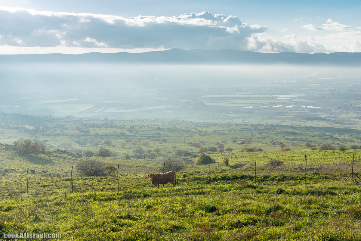 Голанские высоты - водопады и исторические места | LookAtIsrael.com - Фото путешествия по Израилю