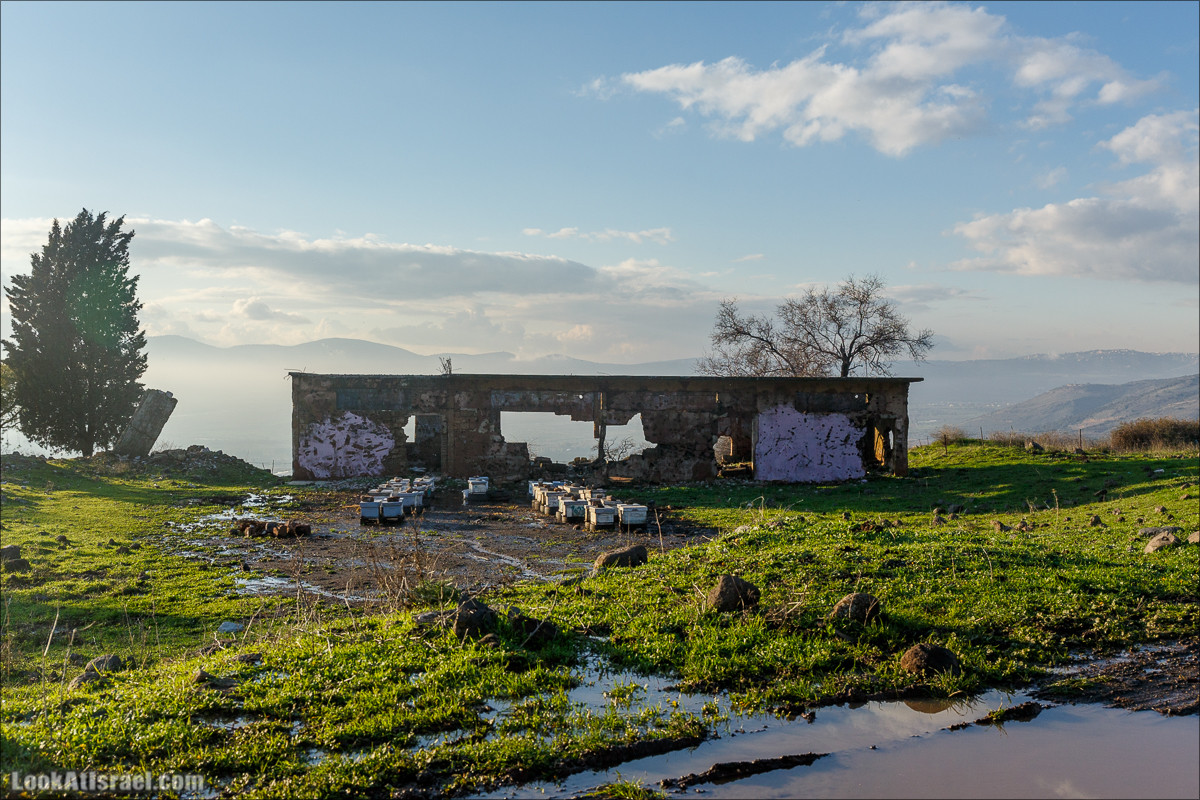 Голанские высоты - водопады и исторические места | LookAtIsrael.com - Фото путешествия по Израилю