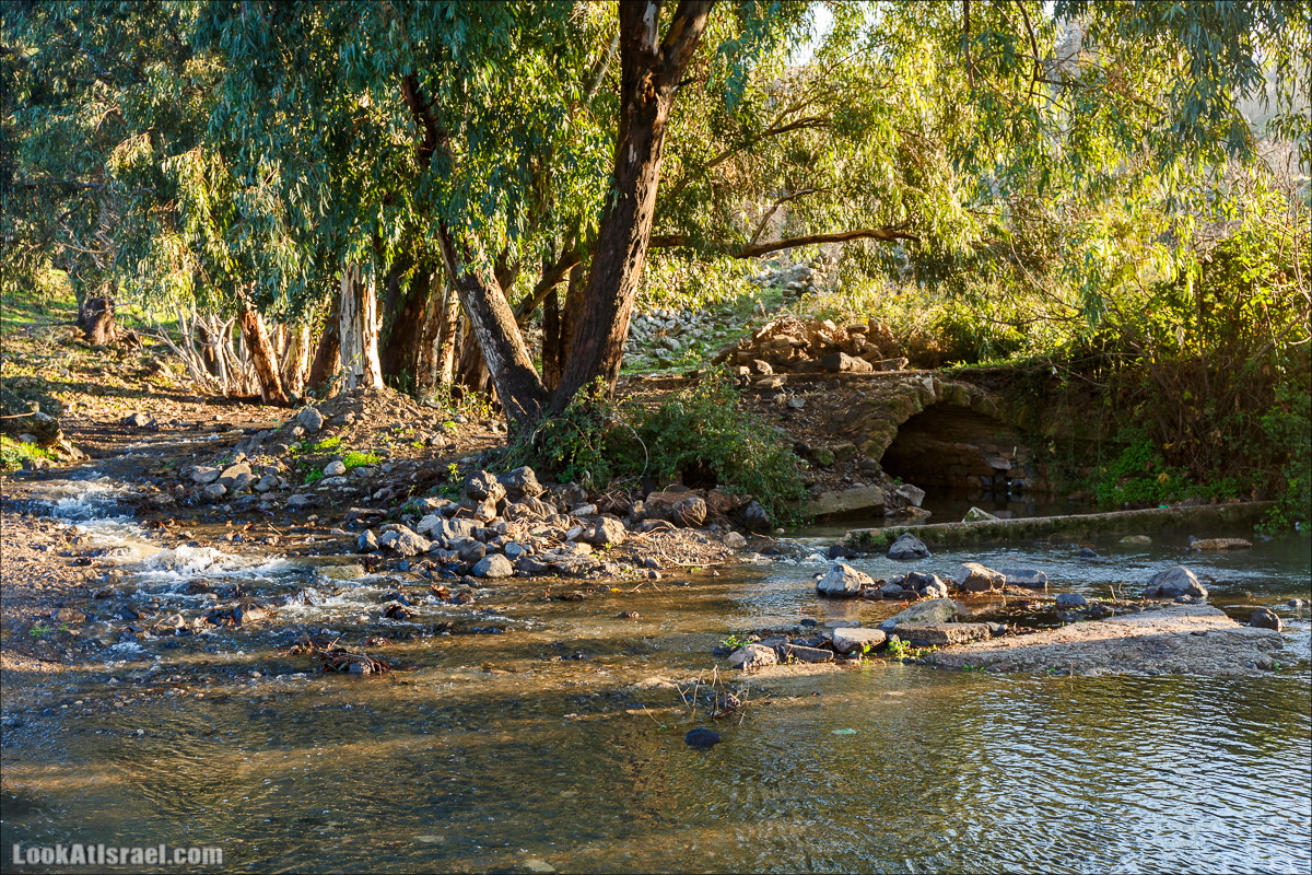 Голанские высоты - водопады и исторические места | LookAtIsrael.com - Фото путешествия по Израилю