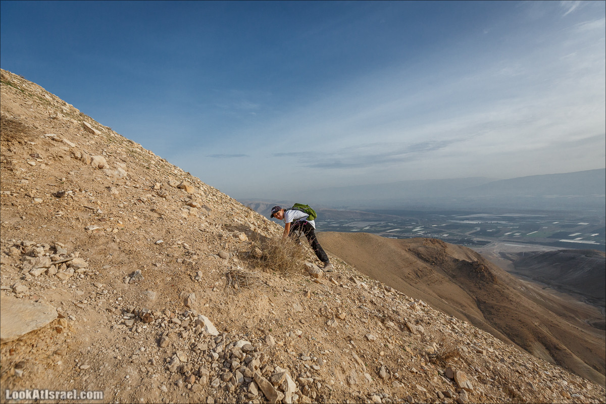 Гора Сартаба, Александрион | Mount Sartaba | הר סרטבא | LookAtIsrael.com - Фото путешествия по Израилю