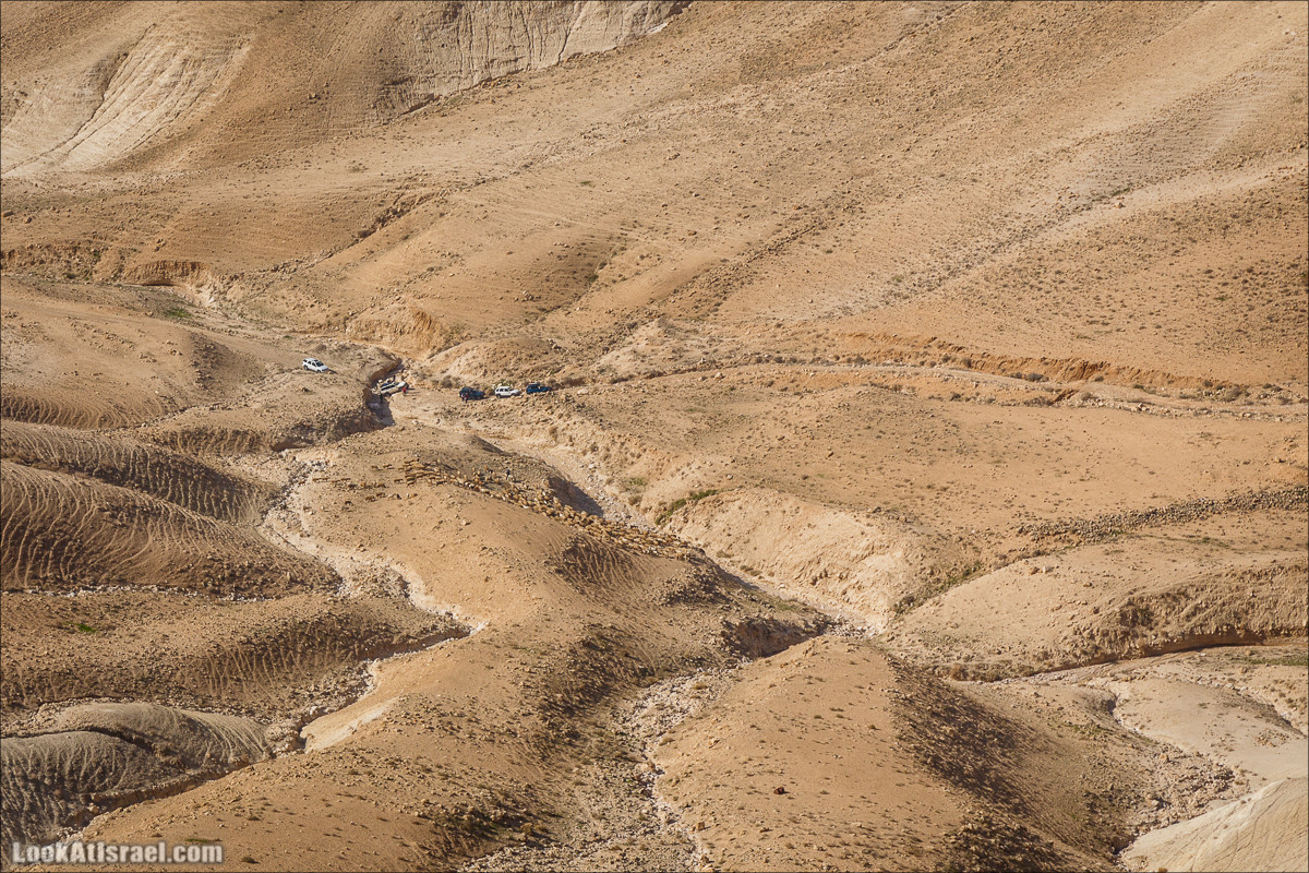 Гора Сартаба, Александрион | Mount Sartaba | הר סרטבא | LookAtIsrael.com - Фото путешествия по Израилю