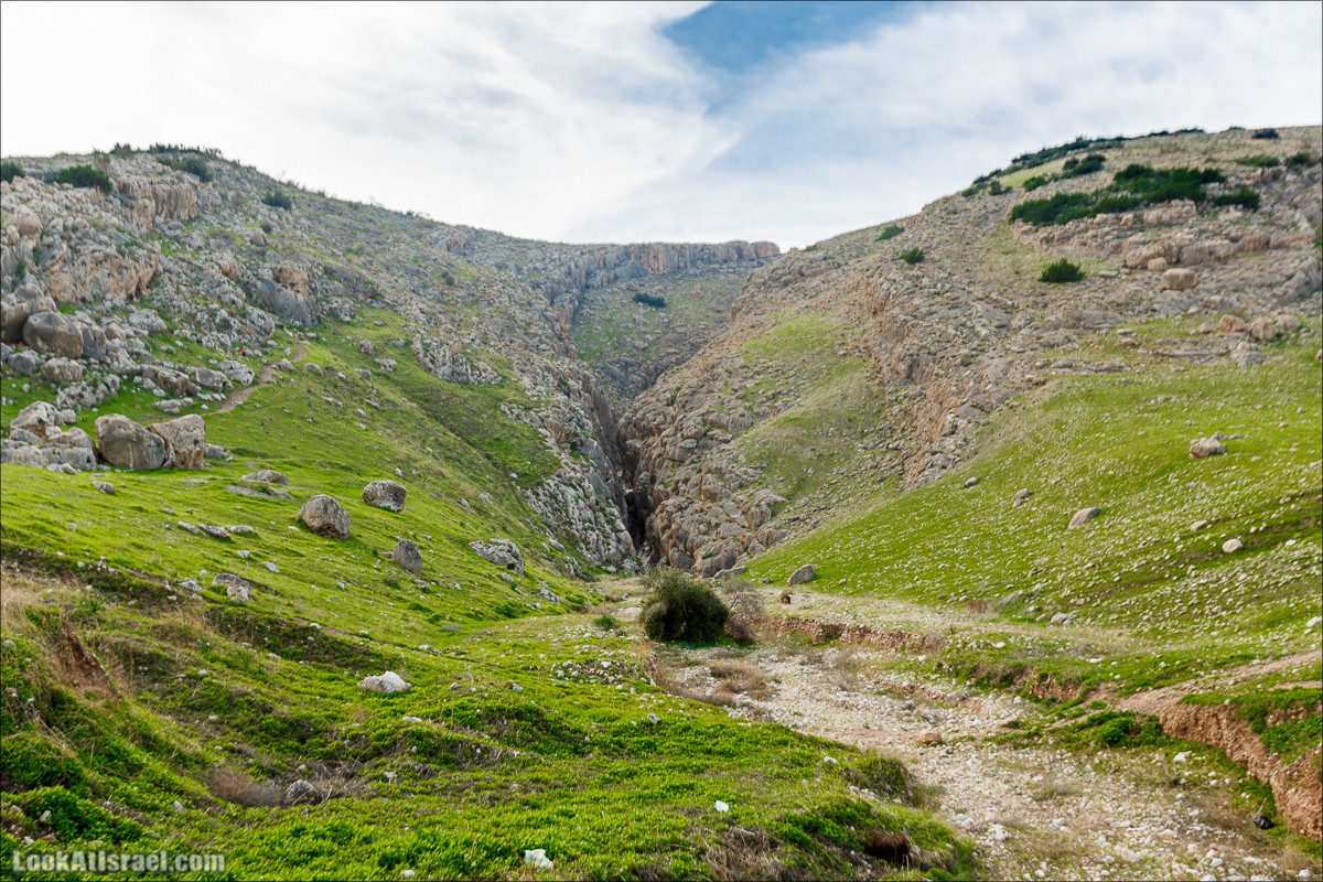 Ущелье Талкид - Вади Кууд Аяде (ואדי קועוד עידה) в заповеднике Умм Зука | Wadi Feiran | ואדי פיראן | LookAtIsrael.com - Фото путешествия по Израилю