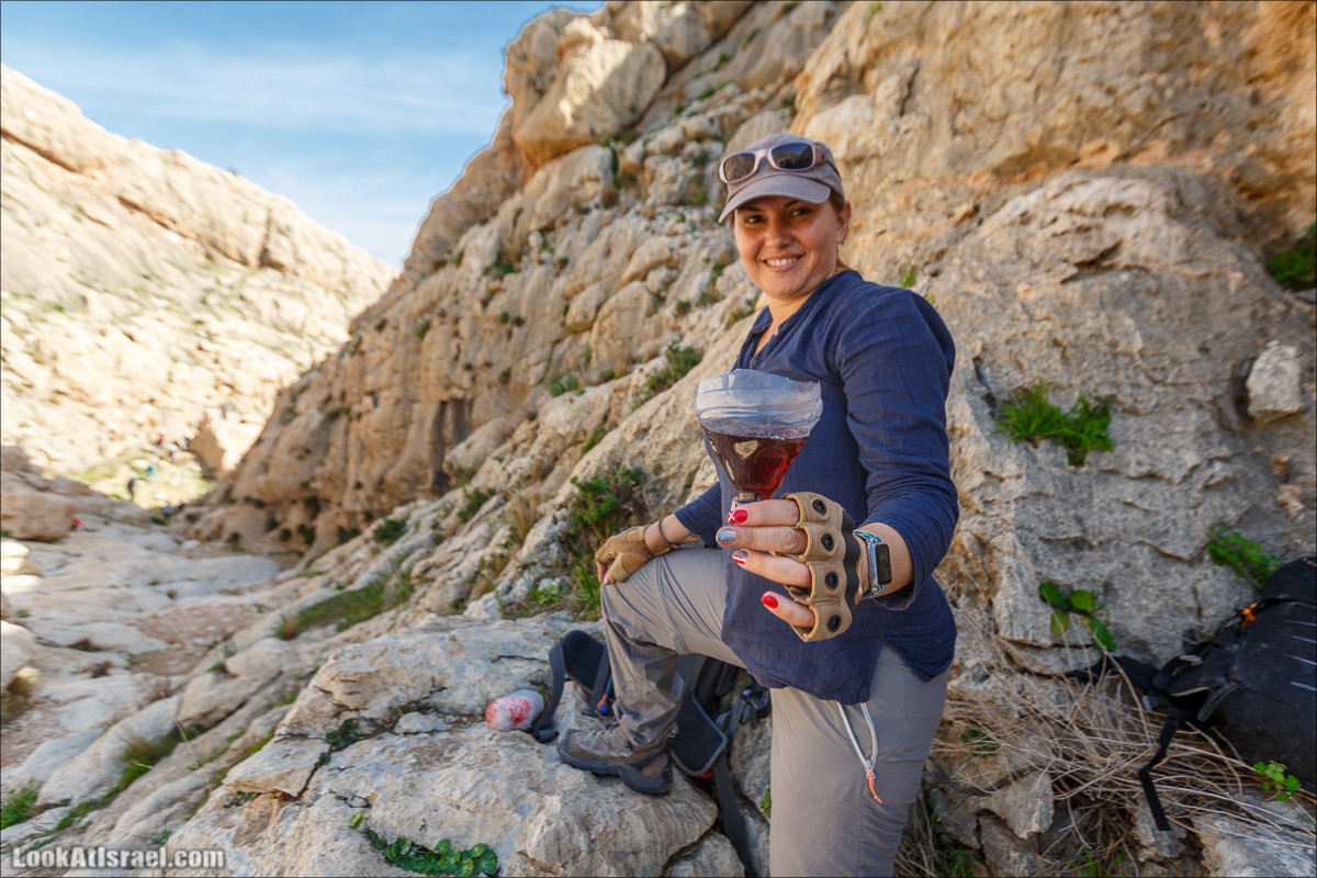 Ущелье Вади Фиран в заповеднике Умм Зука | Wadi Feiran | ואדי פיראן | LookAtIsrael.com - Фото путешествия по Израилю