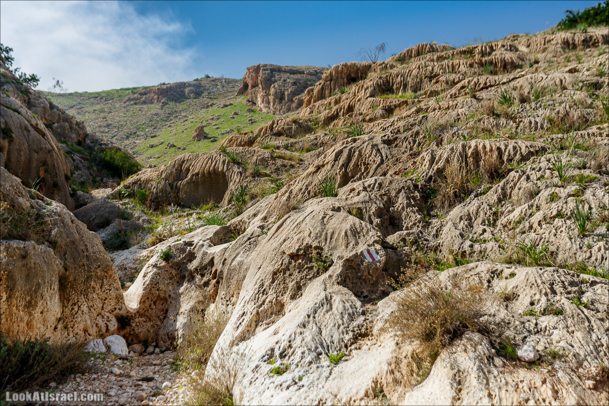 Ущелье Вади Фиран в заповеднике Умм Зука | Wadi Feiran | ואדי פיראן | LookAtIsrael.com - Фото путешествия по Израилю
