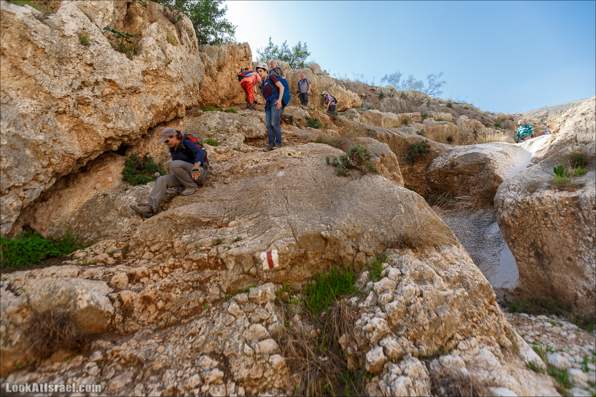 Ущелье Вади Фиран в заповеднике Умм Зука | Wadi Feiran | ואדי פיראן | LookAtIsrael.com - Фото путешествия по Израилю