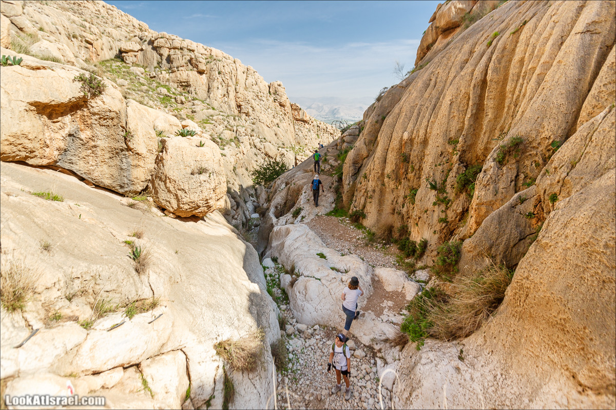Ущелье Вади Фиран в заповеднике Умм Зука | Wadi Feiran | ואדי פיראן | LookAtIsrael.com - Фото путешествия по Израилю