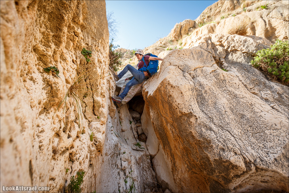 Ущелье Вади Фиран в заповеднике Умм Зука | Wadi Feiran | ואדי פיראן | LookAtIsrael.com - Фото путешествия по Израилю