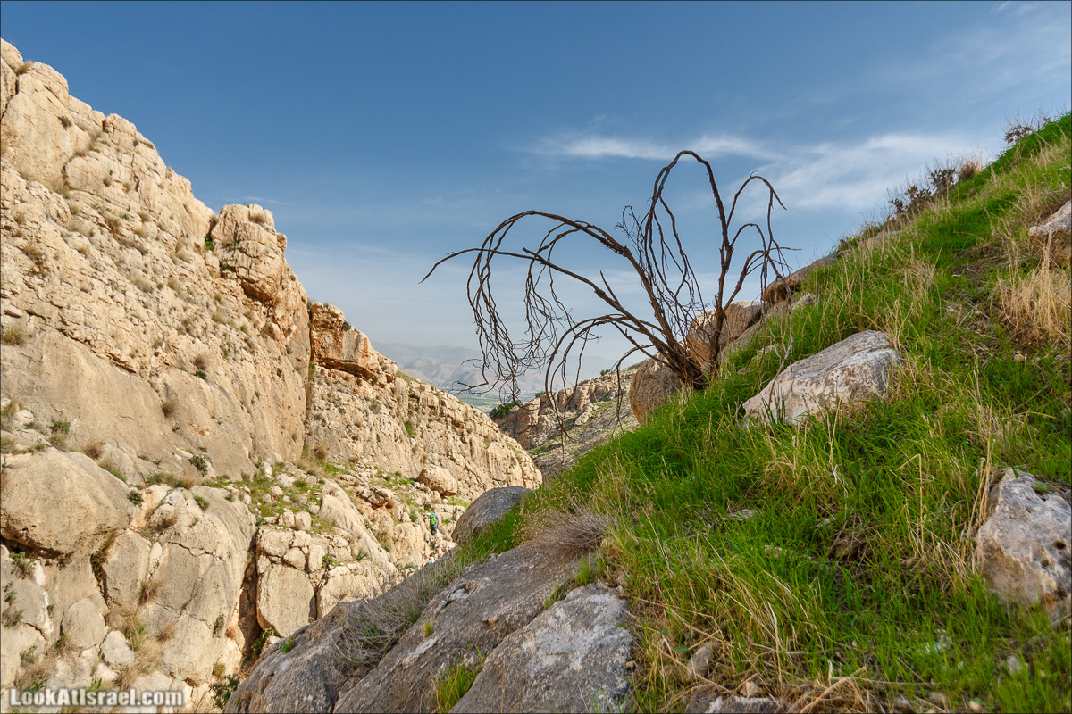 Ущелье Вади Фиран в заповеднике Умм Зука | Wadi Feiran | ואדי פיראן | LookAtIsrael.com - Фото путешествия по Израилю