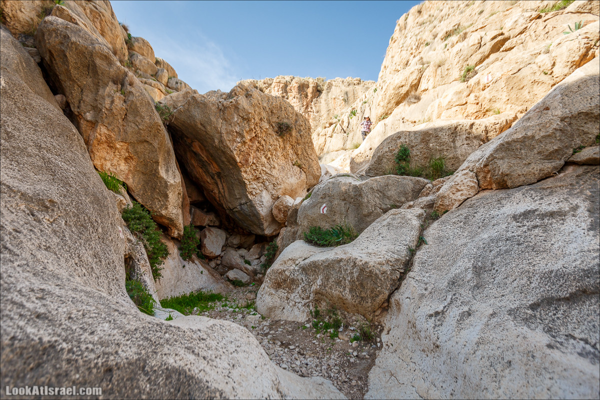 Ущелье Вади Фиран в заповеднике Умм Зука | Wadi Feiran | ואדי פיראן | LookAtIsrael.com - Фото путешествия по Израилю
