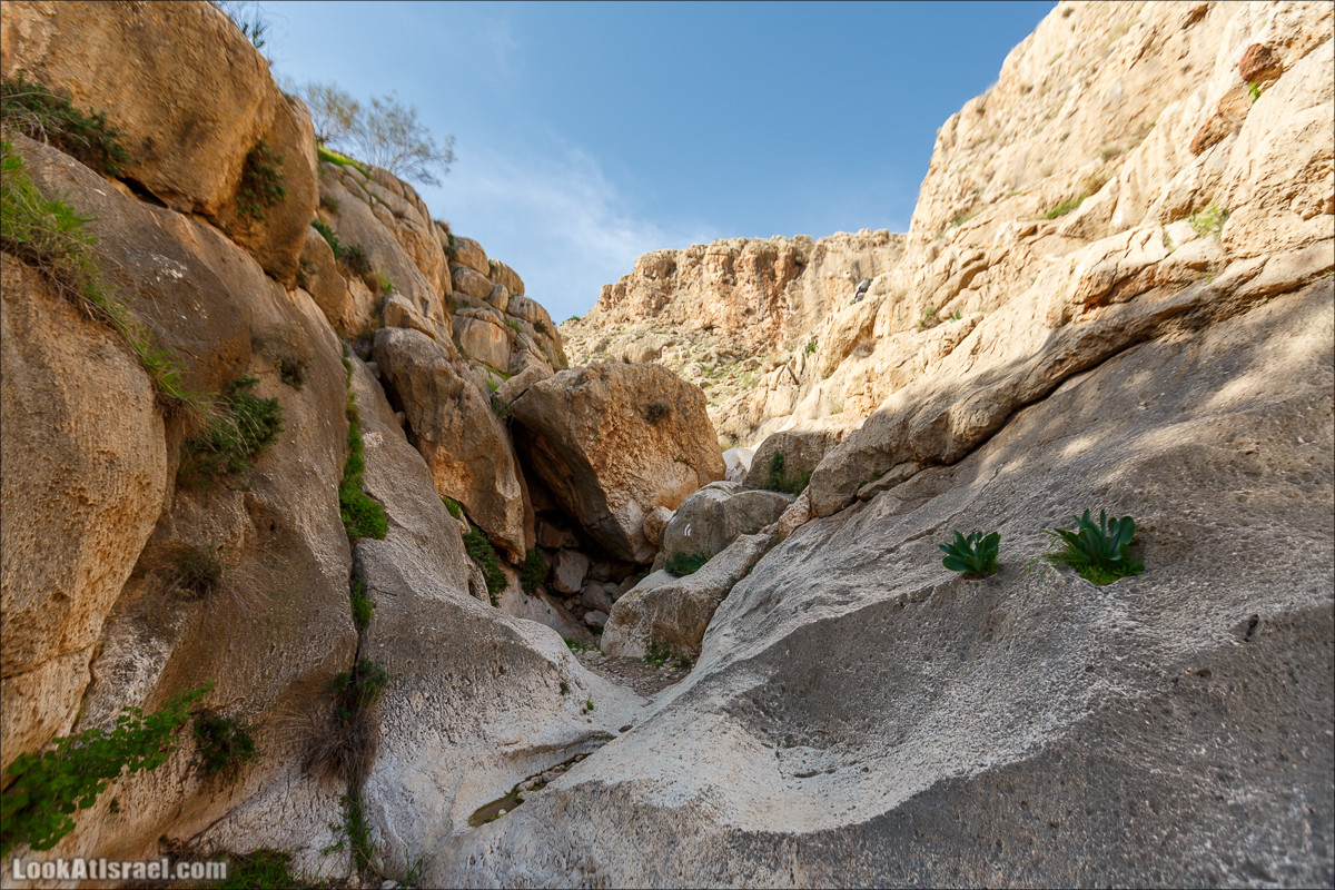 Ущелье Вади Фиран в заповеднике Умм Зука | Wadi Feiran | ואדי פיראן | LookAtIsrael.com - Фото путешествия по Израилю