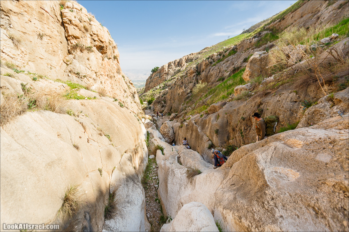 Ущелье Вади Фиран в заповеднике Умм Зука | Wadi Feiran | ואדי פיראן | LookAtIsrael.com - Фото путешествия по Израилю