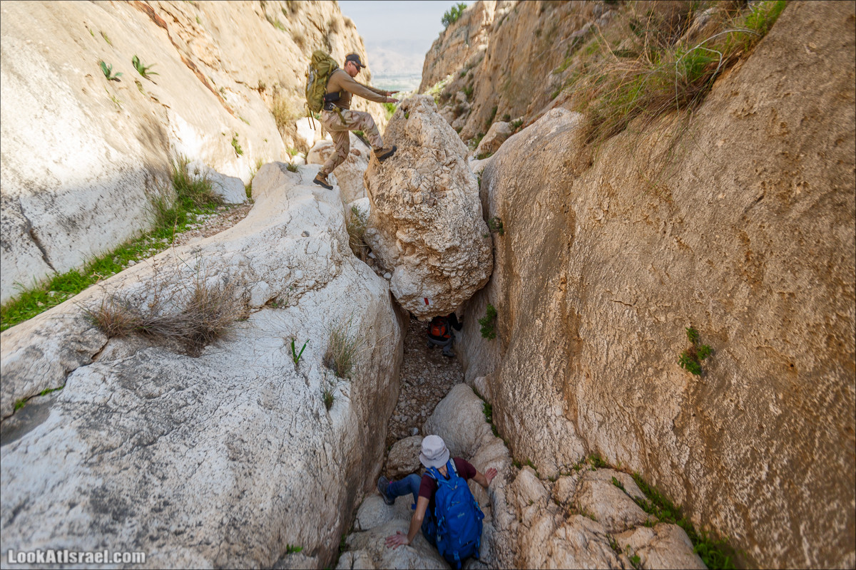 Ущелье Вади Фиран в заповеднике Умм Зука | Wadi Feiran | ואדי פיראן | LookAtIsrael.com - Фото путешествия по Израилю