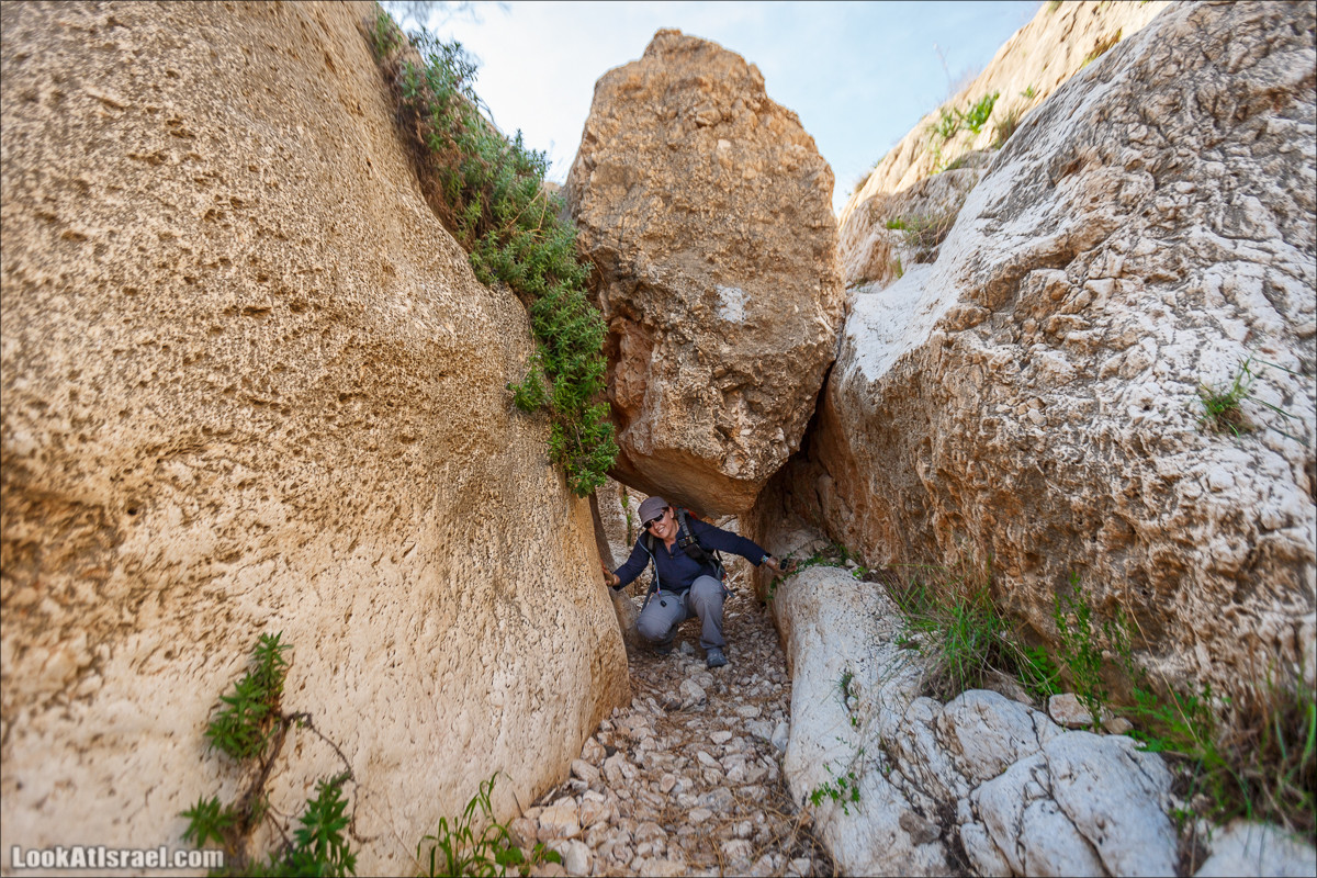 Ущелье Вади Фиран в заповеднике Умм Зука | Wadi Feiran | ואדי פיראן | LookAtIsrael.com - Фото путешествия по Израилю