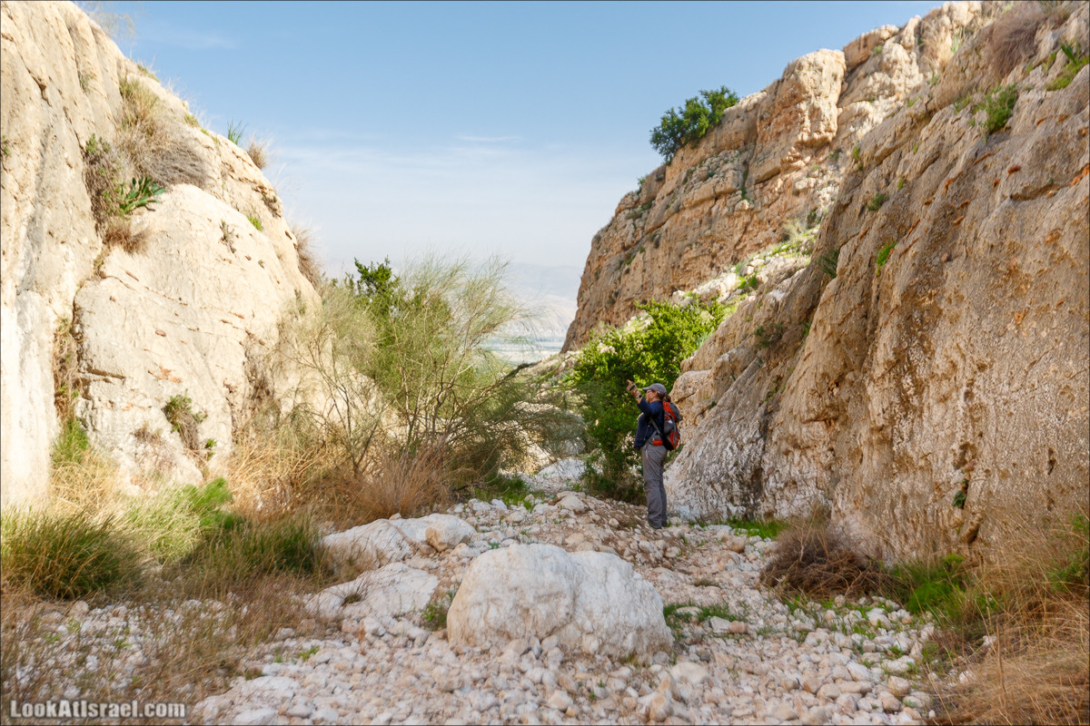 Ущелье Вади Фиран в заповеднике Умм Зука | Wadi Feiran | ואדי פיראן | LookAtIsrael.com - Фото путешествия по Израилю