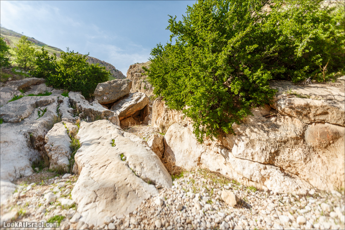 Ущелье Вади Фиран в заповеднике Умм Зука | Wadi Feiran | ואדי פיראן | LookAtIsrael.com - Фото путешествия по Израилю