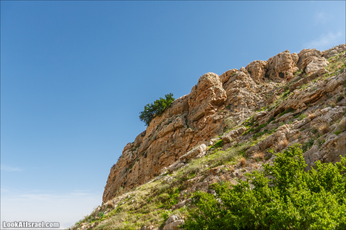 Ущелье Вади Фиран в заповеднике Умм Зука | Wadi Feiran | ואדי פיראן | LookAtIsrael.com - Фото путешествия по Израилю