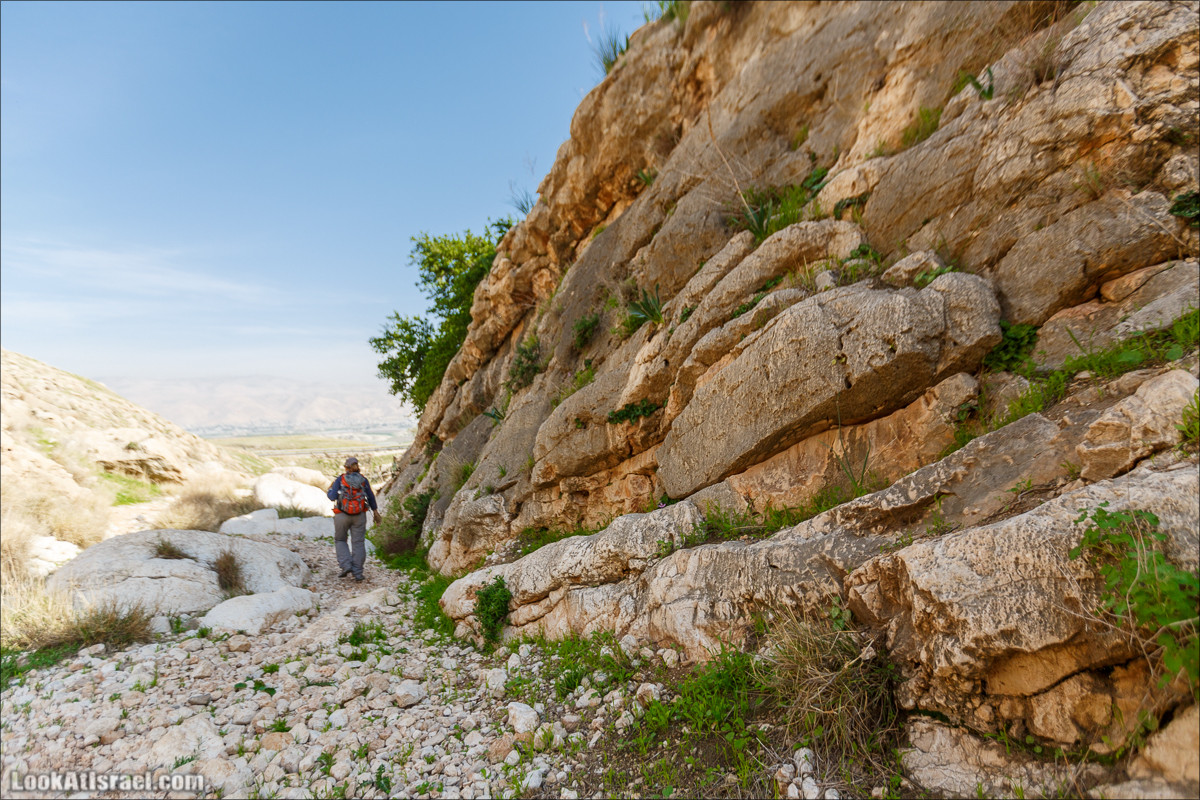 Ущелье Вади Фиран в заповеднике Умм Зука | Wadi Feiran | ואדי פיראן | LookAtIsrael.com - Фото путешествия по Израилю