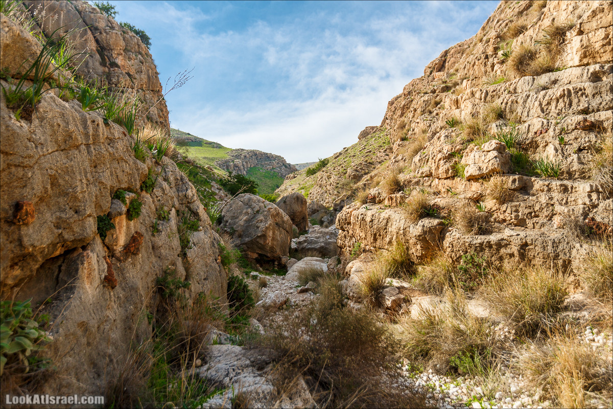 Ущелье Вади Фиран в заповеднике Умм Зука | Wadi Feiran | ואדי פיראן | LookAtIsrael.com - Фото путешествия по Израилю