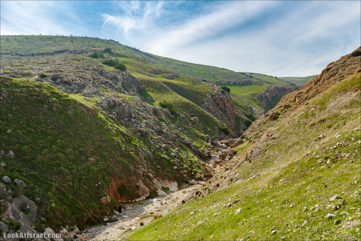Ущелье Вади Фиран в заповеднике Умм Зука | Wadi Feiran | ואדי פיראן | LookAtIsrael.com - Фото путешествия по Израилю