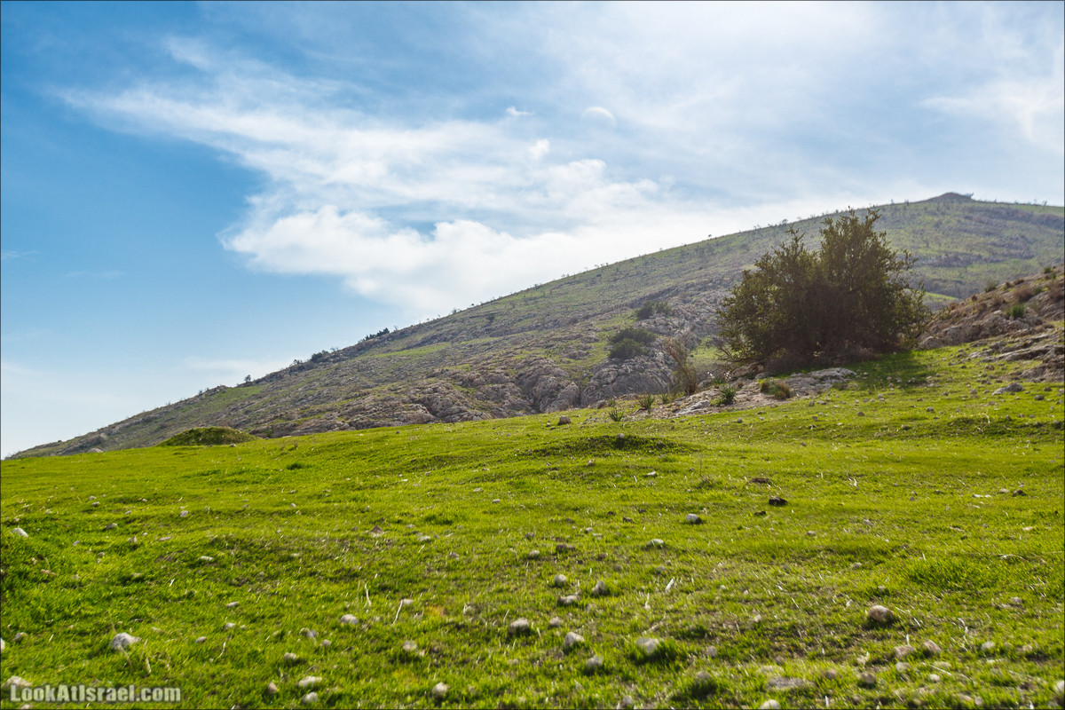 Ущелье Вади Фиран в заповеднике Умм Зука | Wadi Feiran | ואדי פיראן | LookAtIsrael.com - Фото путешествия по Израилю