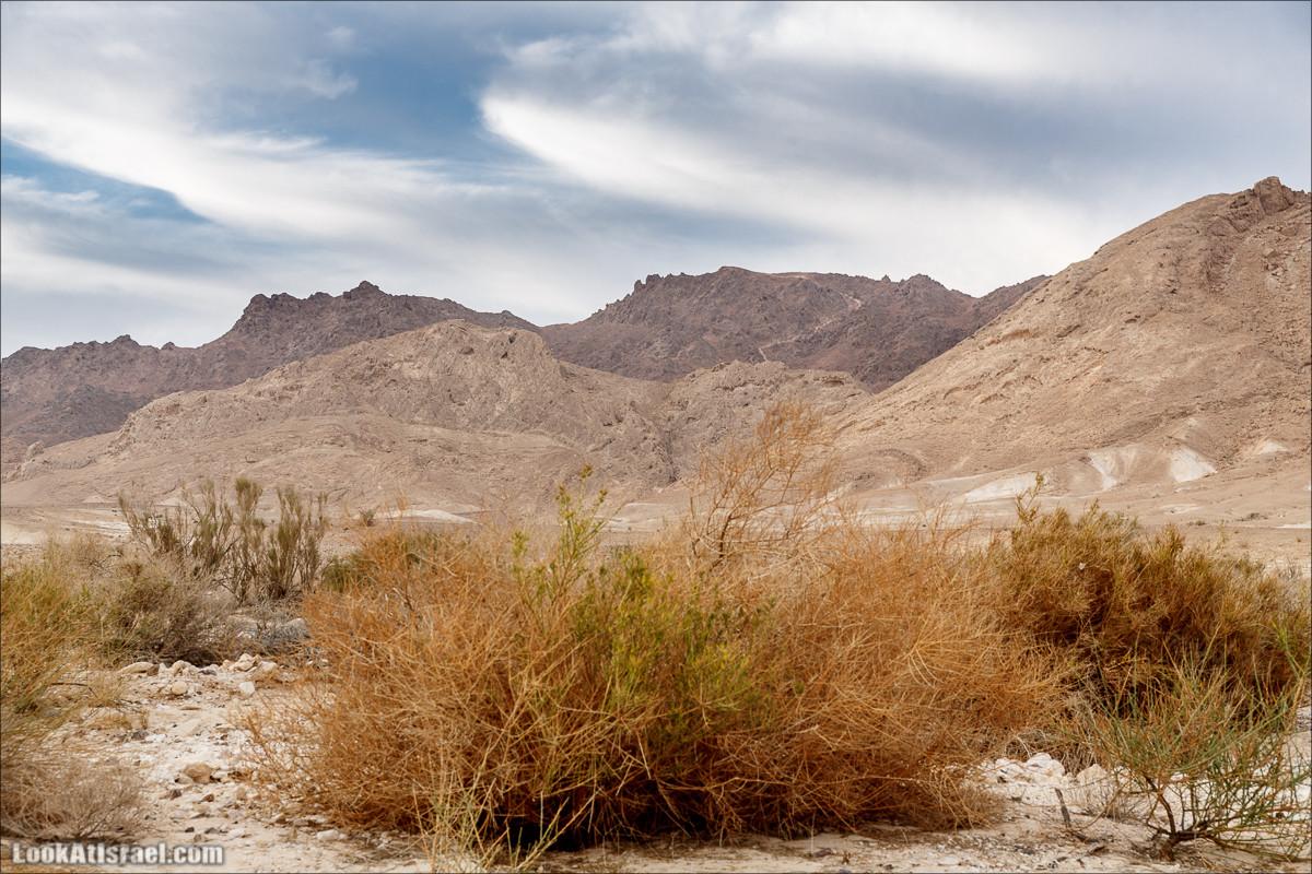 Обзор на гору Арод в Махтеш Рамон, ручей Нахаль Некарот | LookAtIsrael.com - Фото путешествия по Израилю