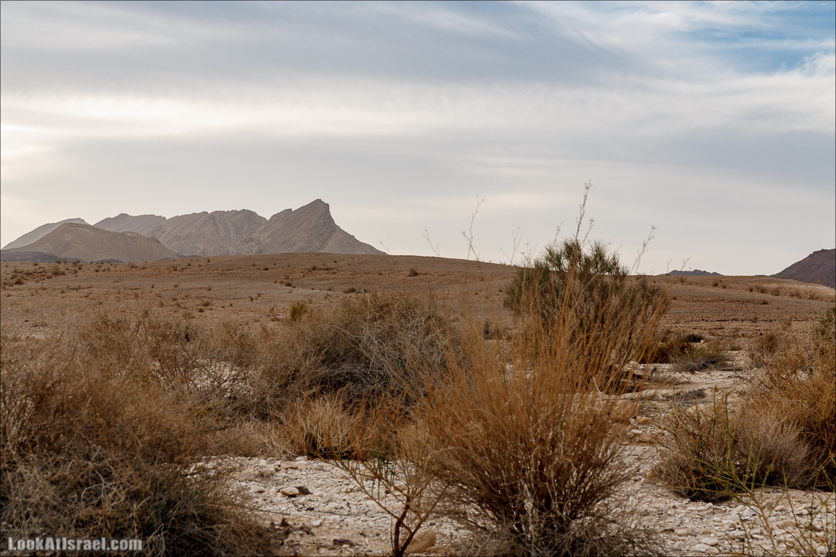 Обзор на гору Арод в Махтеш Рамон, ручей Нахаль Некарот | LookAtIsrael.com - Фото путешествия по Израилю