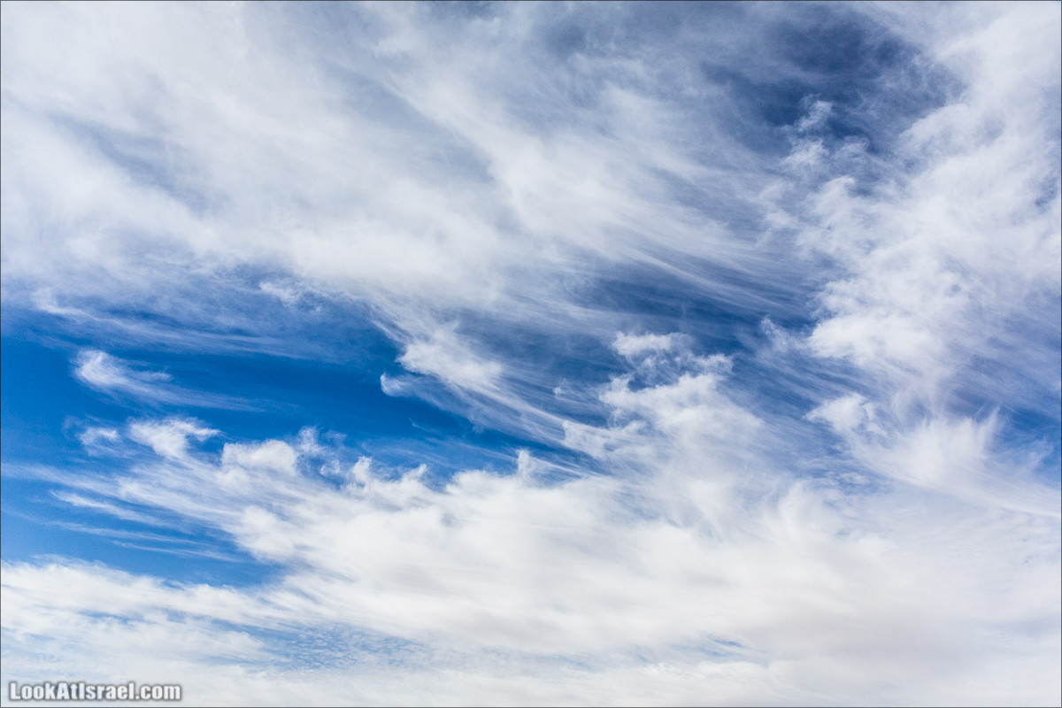 Пеший маршрут по ручью Элот, вершина Элот, водоёмы Лоц | LookAtIsrael.com - Фото путешествия по Израилю