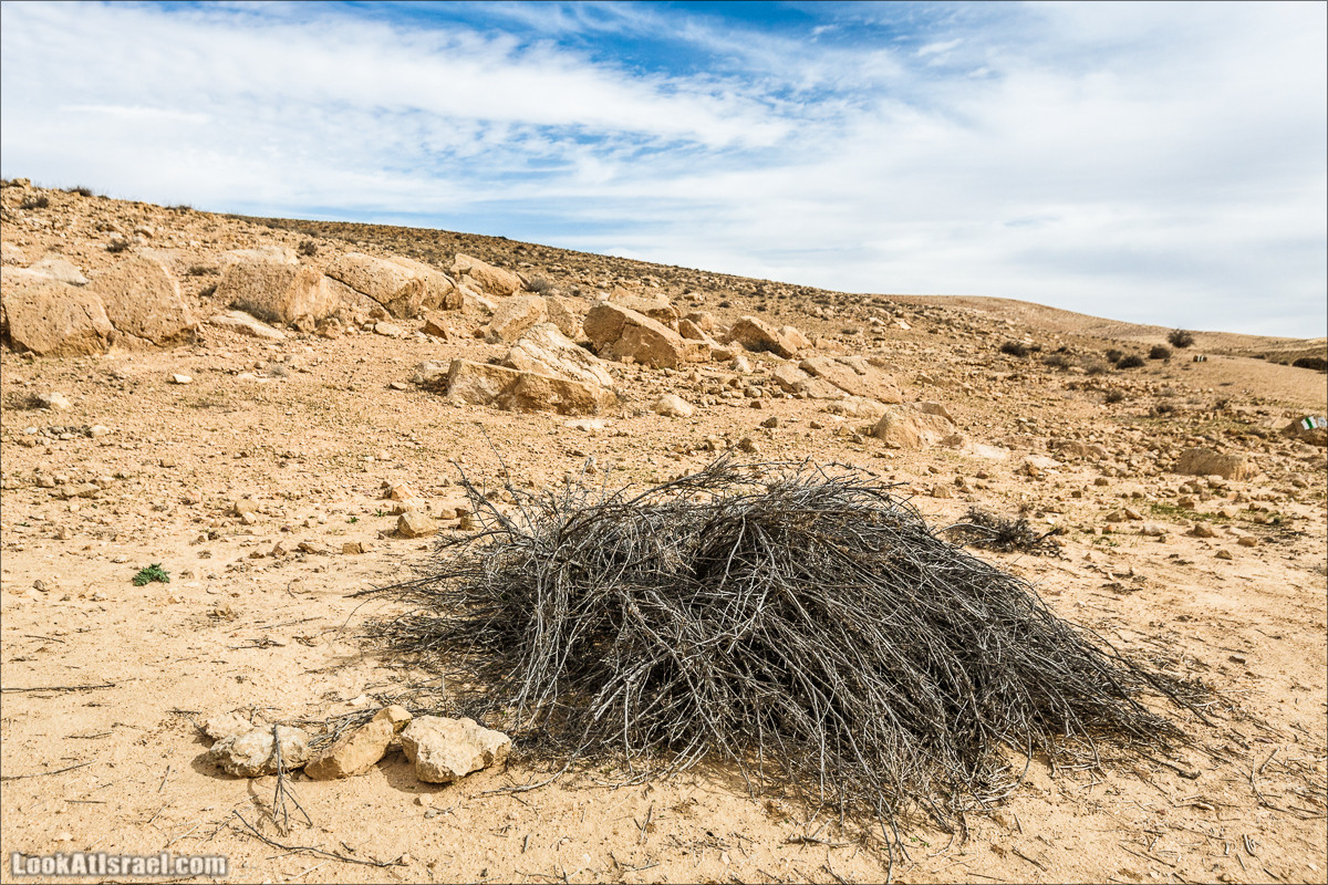 Пеший маршрут по ручью Элот, вершина Элот, водоёмы Лоц | LookAtIsrael.com - Фото путешествия по Израилю
