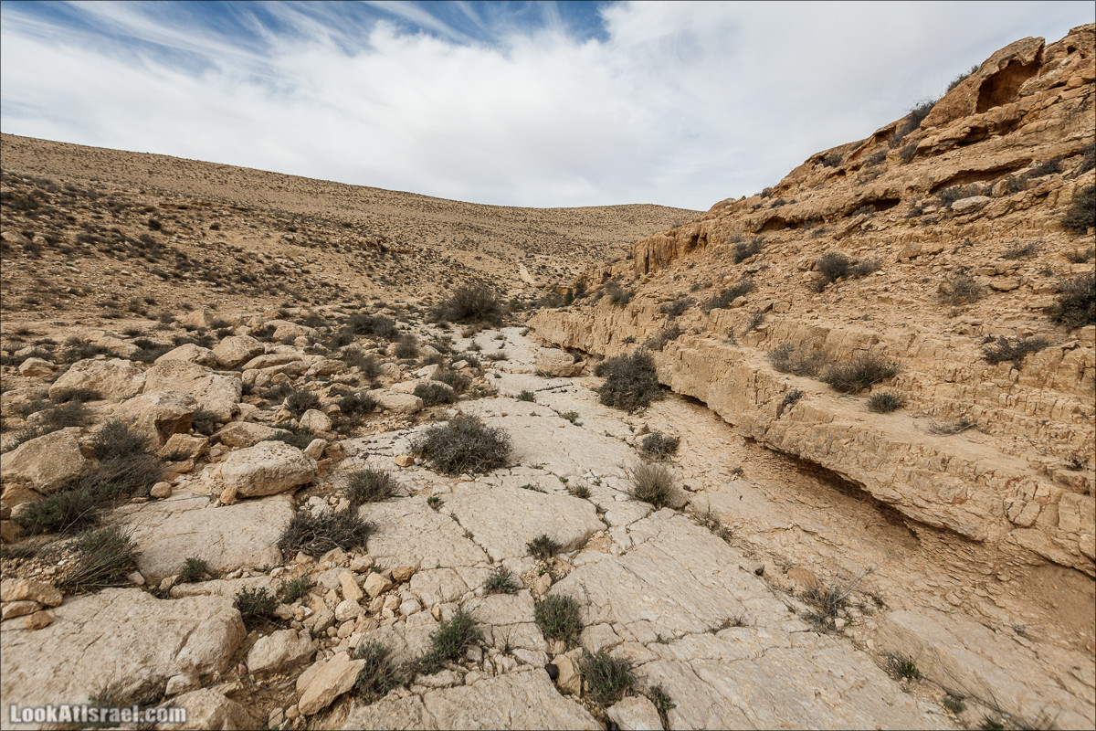 Пеший маршрут по ручью Элот, вершина Элот, водоёмы Лоц | LookAtIsrael.com - Фото путешествия по Израилю
