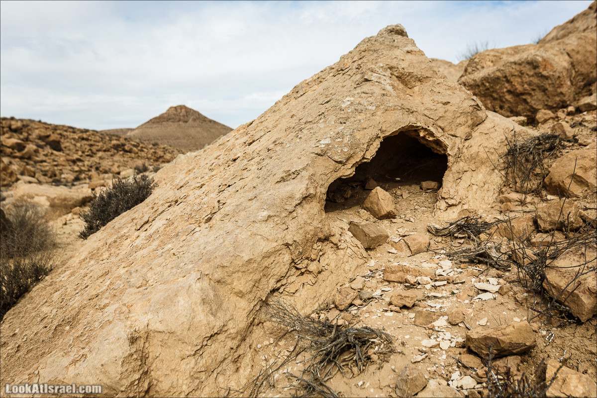 Пеший маршрут по ручью Элот, вершина Элот, водоёмы Лоц | LookAtIsrael.com - Фото путешествия по Израилю