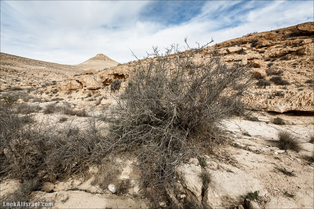 Пеший маршрут по ручью Элот, вершина Элот, водоёмы Лоц | LookAtIsrael.com - Фото путешествия по Израилю