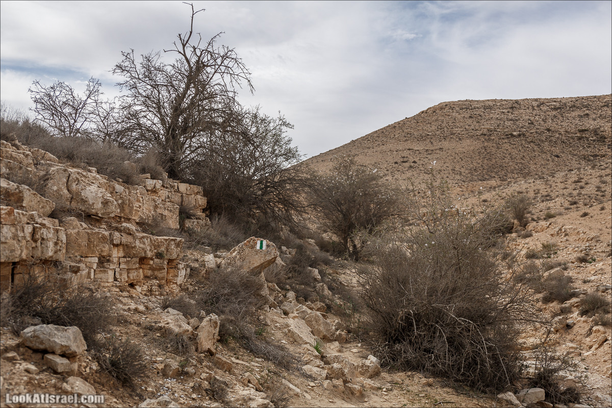 Пеший маршрут по ручью Элот, вершина Элот, водоёмы Лоц | LookAtIsrael.com - Фото путешествия по Израилю