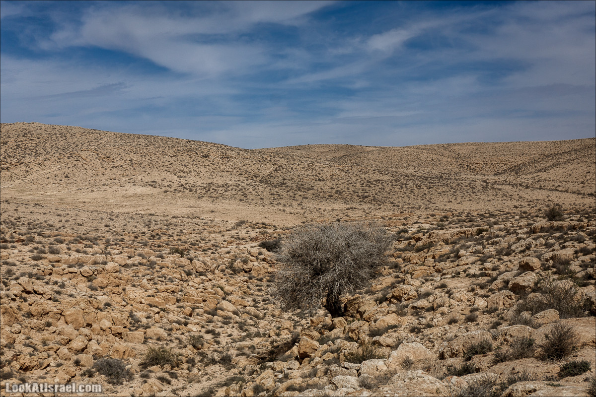 Пеший маршрут по ручью Элот, вершина Элот, водоёмы Лоц | LookAtIsrael.com - Фото путешествия по Израилю
