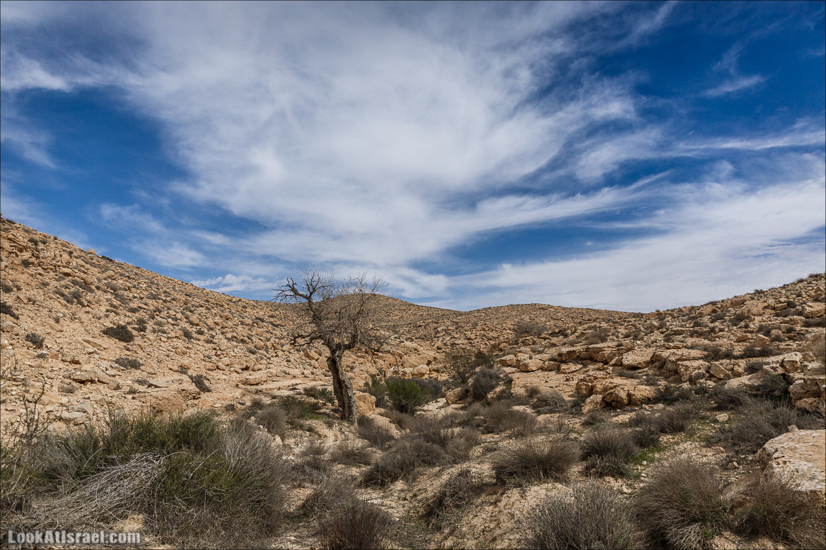 Пеший маршрут по ручью Элот, вершина Элот, водоёмы Лоц | LookAtIsrael.com - Фото путешествия по Израилю