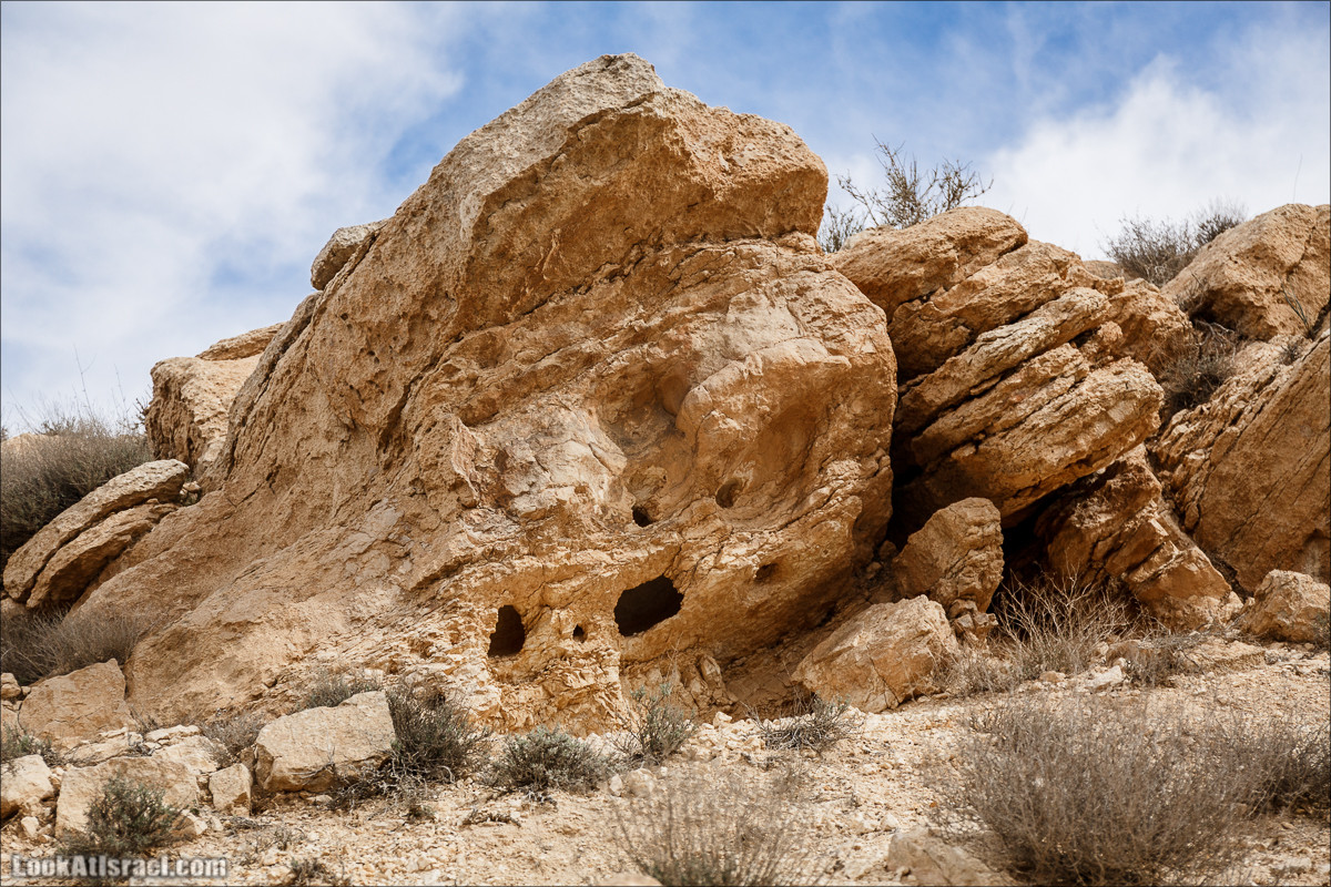 Пеший маршрут по ручью Элот, вершина Элот, водоёмы Лоц | LookAtIsrael.com - Фото путешествия по Израилю