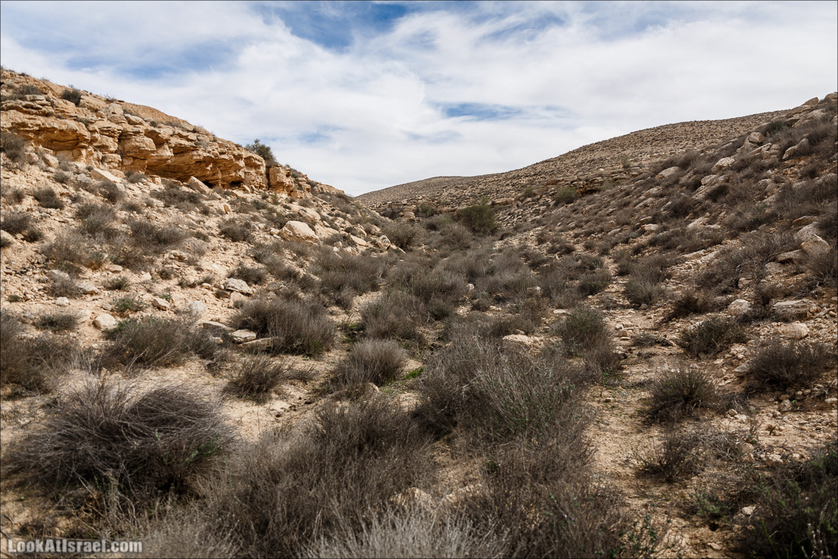 Пеший маршрут по ручью Элот, вершина Элот, водоёмы Лоц | LookAtIsrael.com - Фото путешествия по Израилю