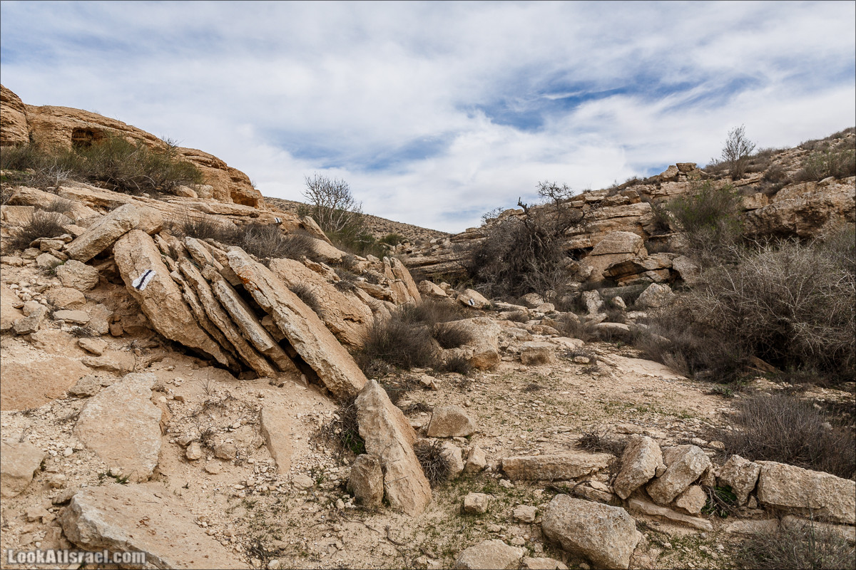Пеший маршрут по ручью Элот, вершина Элот, водоёмы Лоц | LookAtIsrael.com - Фото путешествия по Израилю
