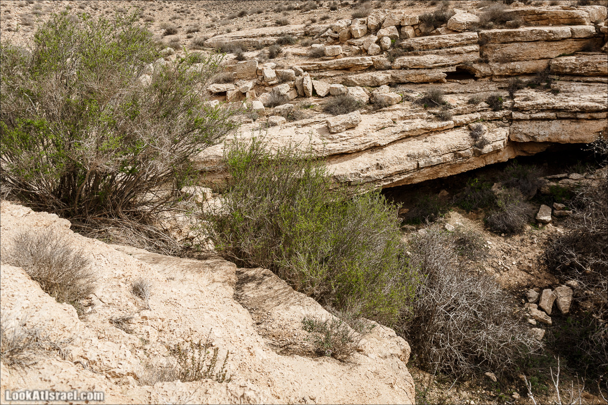 Пеший маршрут по ручью Элот, вершина Элот, водоёмы Лоц | LookAtIsrael.com - Фото путешествия по Израилю