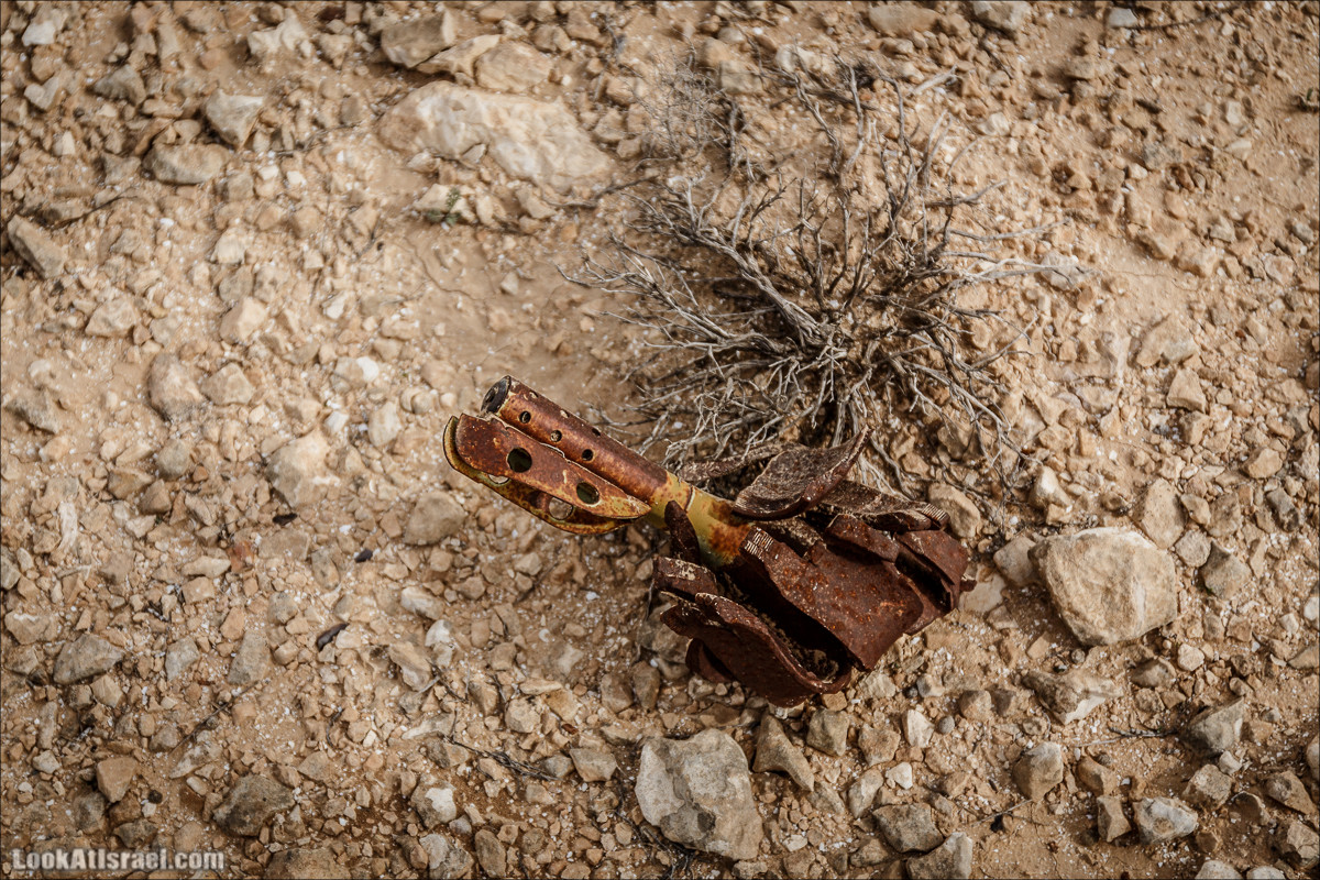 Пеший маршрут по ручью Элот, вершина Элот, водоёмы Лоц | LookAtIsrael.com - Фото путешествия по Израилю