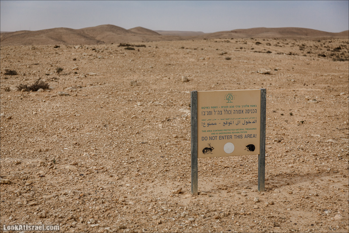 Пеший маршрут по ручью Элот, вершина Элот, водоёмы Лоц | LookAtIsrael.com - Фото путешествия по Израилю