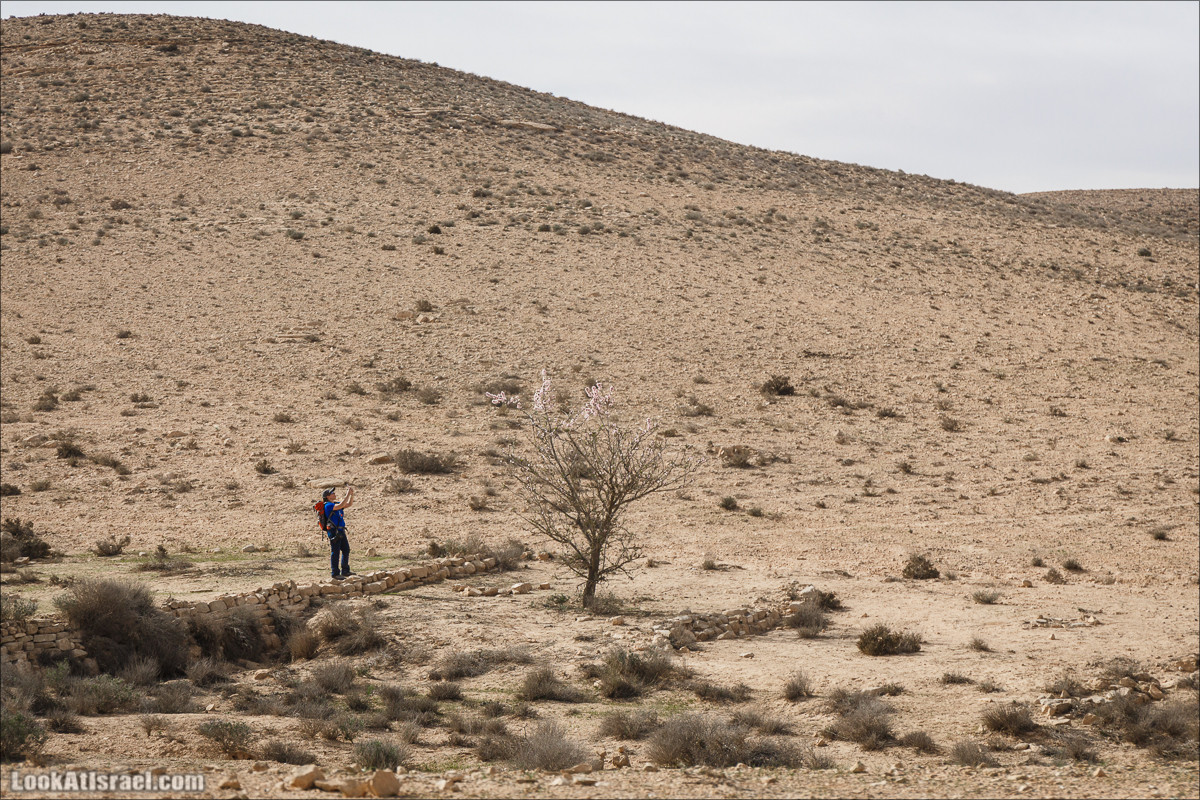 Пеший маршрут по ручью Элот, вершина Элот, водоёмы Лоц | LookAtIsrael.com - Фото путешествия по Израилю