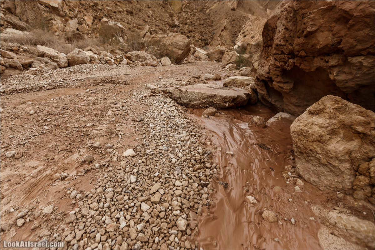 Махтеш Катан (Малый), Маале Хацера и ручей Нахаль Мазар | מכתש קטן, מעלה חצרה ונחל מזר | LookAtIsrael.com - Фото путешествия по Израилю