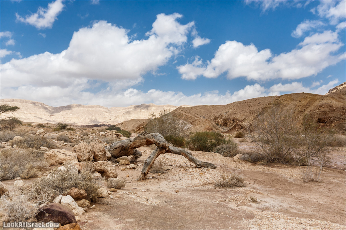 Махтеш Катан (Малый), Маале Хацера и ручей Нахаль Мазар | מכתש קטן, מעלה חצרה ונחל מזר | LookAtIsrael.com - Фото путешествия по Израилю