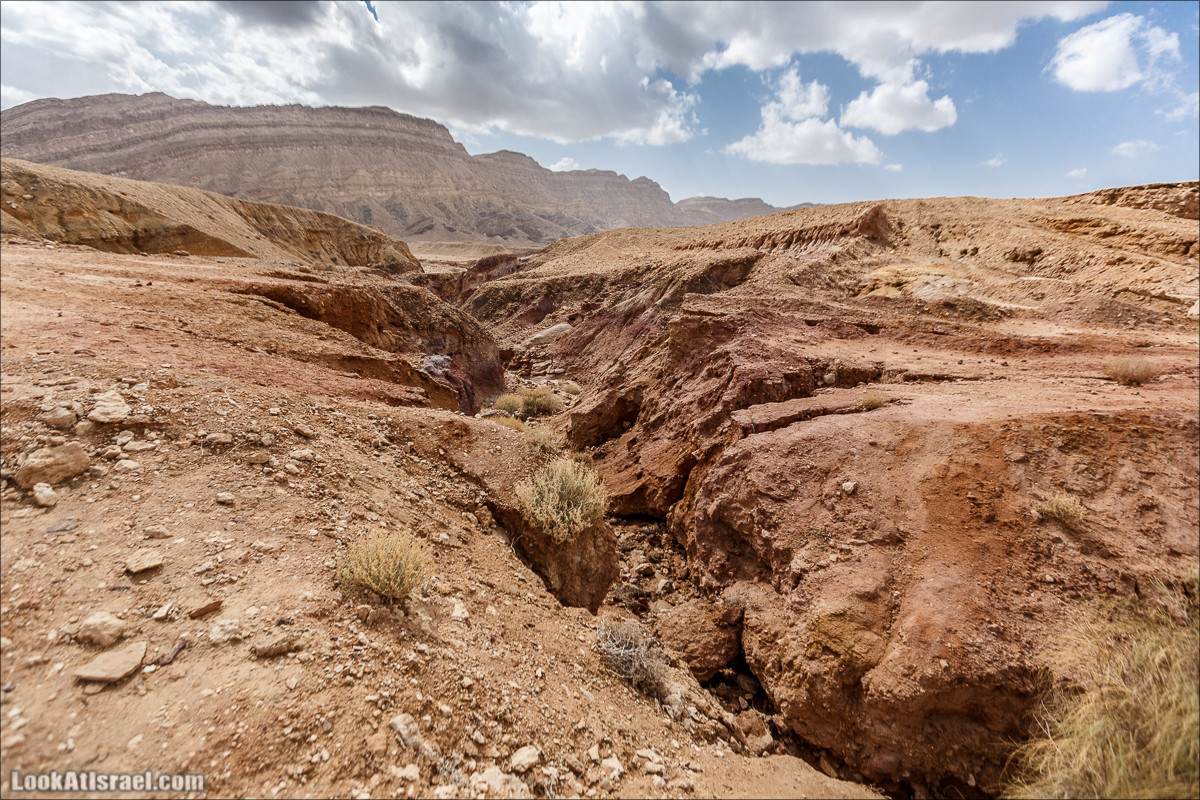 Махтеш Катан (Малый), Маале Хацера и ручей Нахаль Мазар | מכתש קטן, מעלה חצרה ונחל מזר | LookAtIsrael.com - Фото путешествия по Израилю