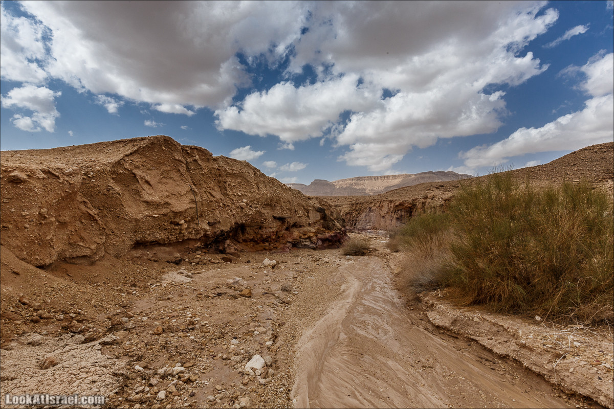 Махтеш Катан (Малый), Маале Хацера и ручей Нахаль Мазар | מכתש קטן, מעלה חצרה ונחל מזר | LookAtIsrael.com - Фото путешествия по Израилю