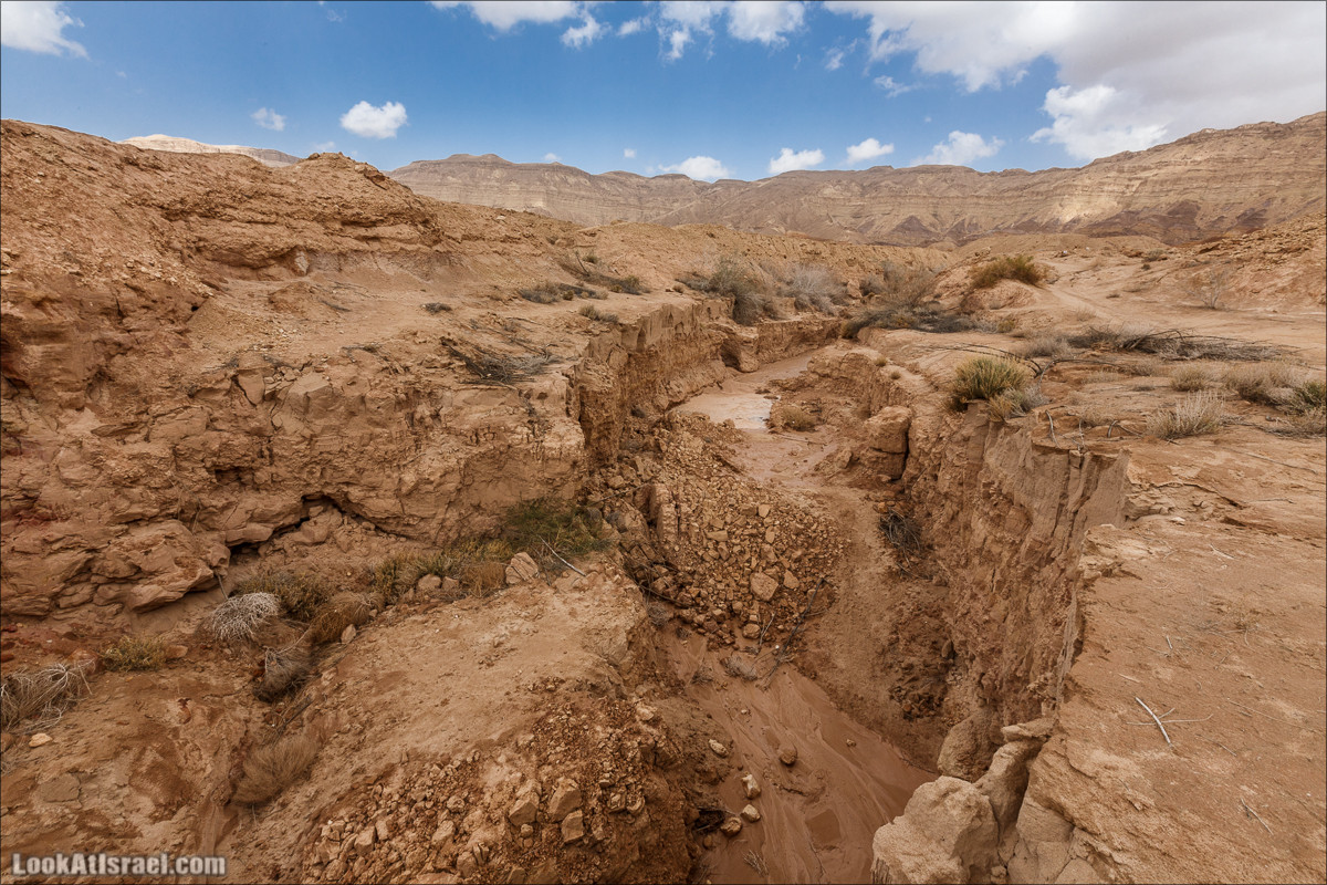 Махтеш Катан (Малый), Маале Хацера и ручей Нахаль Мазар | מכתש קטן, מעלה חצרה ונחל מזר | LookAtIsrael.com - Фото путешествия по Израилю