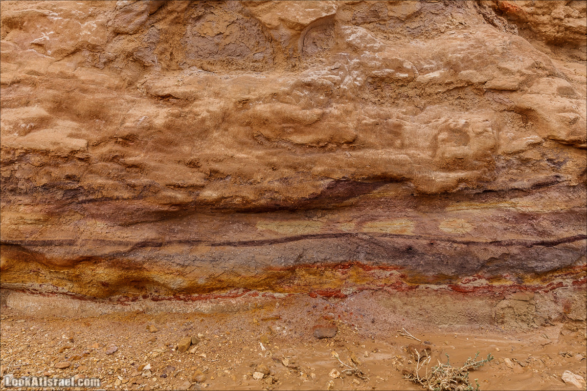 Махтеш Катан (Малый), Маале Хацера и ручей Нахаль Мазар | מכתש קטן, מעלה חצרה ונחל מזר | LookAtIsrael.com - Фото путешествия по Израилю