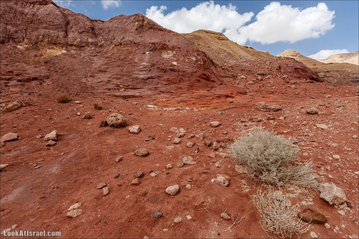 Махтеш Катан (Малый), Маале Хацера и ручей Нахаль Мазар | מכתש קטן, מעלה חצרה ונחל מזר | LookAtIsrael.com - Фото путешествия по Израилю