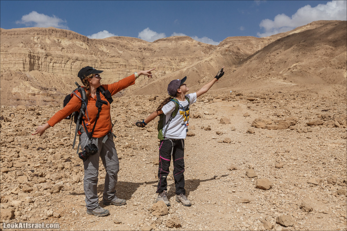 Махтеш Катан (Малый), Маале Хацера и ручей Нахаль Мазар | מכתש קטן, מעלה חצרה ונחל מזר | LookAtIsrael.com - Фото путешествия по Израилю